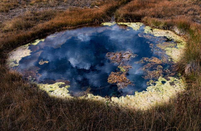 Upper Geyser Basin Dark Pool Reflection 18-3175.jpg